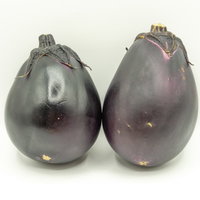 紫色の丸ナスふたつ並べた野菜の食材の写真