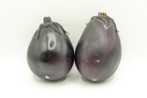 紫色の丸ナスふたつ並べた野菜の食材