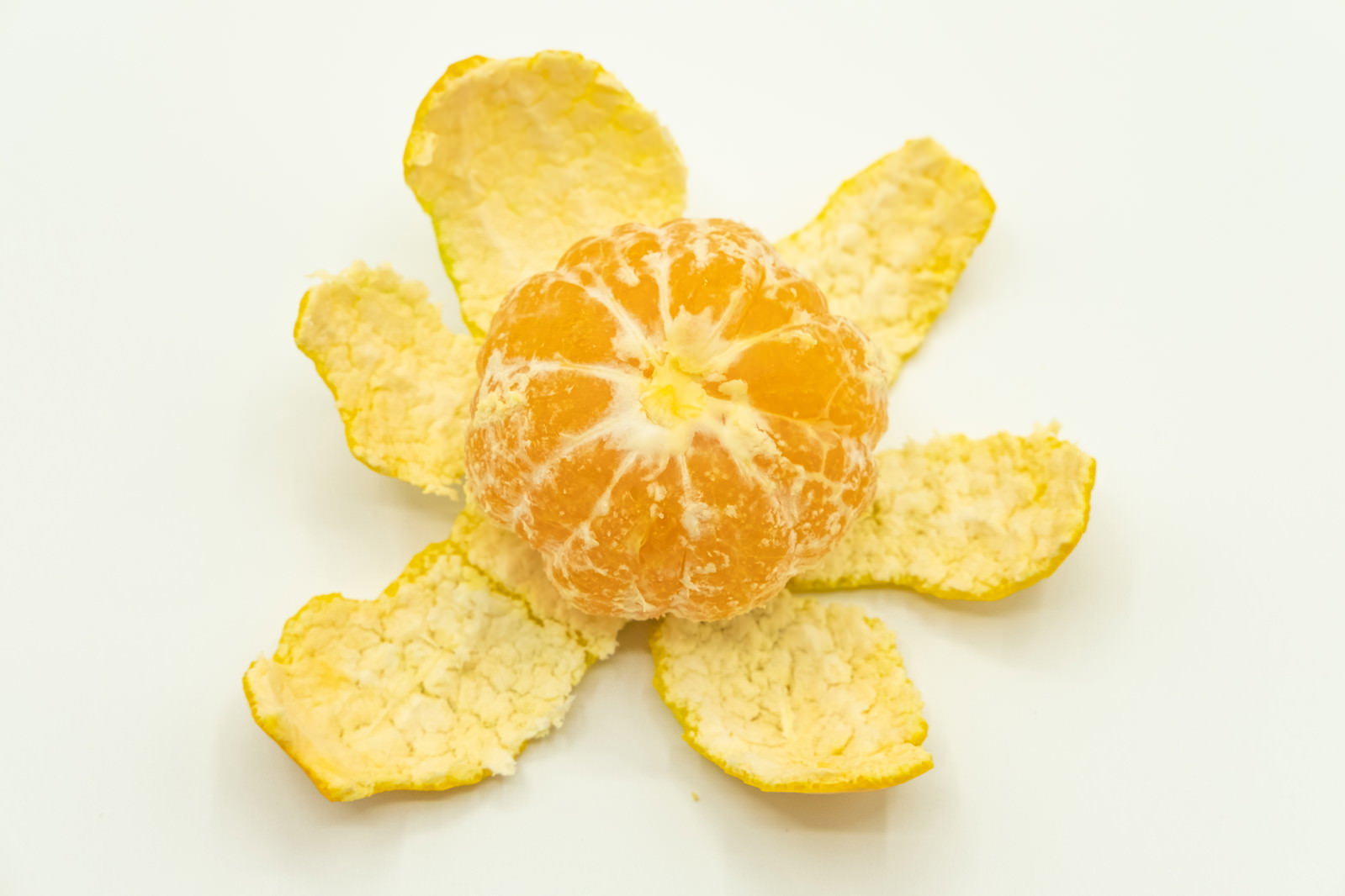 白い背景に置かれた皮を剥いた早生みかん。房が花びらのように広がっている
