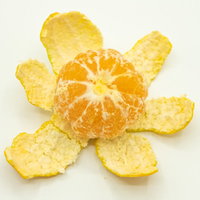 早生みかんを剥いて房を広げた様子の写真