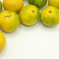 白い床に散らばる早生みかんの柑橘フルーツの写真