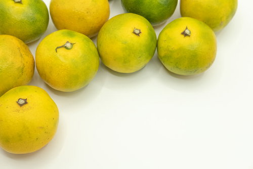 白い床に散らばる早生みかんの柑橘フルーツ