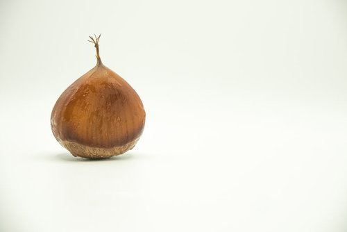 白背景に置かれた栗と水滴