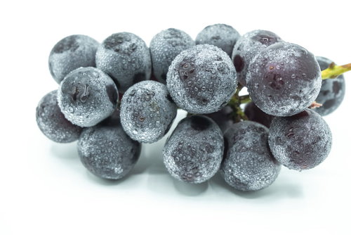 水滴がついた種なし巨峰の房状の粒、新鮮でみずみずしい