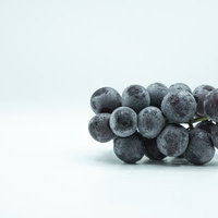 卓上に置いた種なし巨峰の房、新鮮な水滴付きの写真