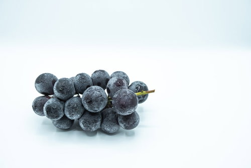 白い背景に水滴まみれの種なし巨峰の房