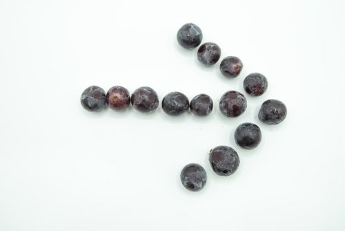 種なし巨峰を矢印で示した右方向への配置