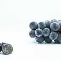 種なし巨峰の房と粒、表面に光る水滴と新鮮な葡萄のの写真