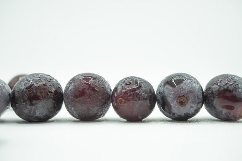 白い背景に整列した種なし巨峰の粒