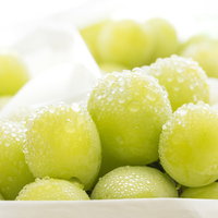 みずみずしい大粒のシャインマスカットの房の写真