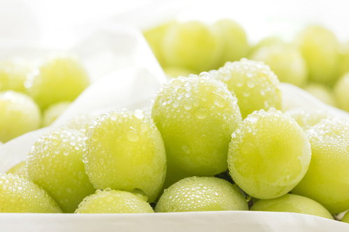 みずみずしい大粒のシャインマスカットの房