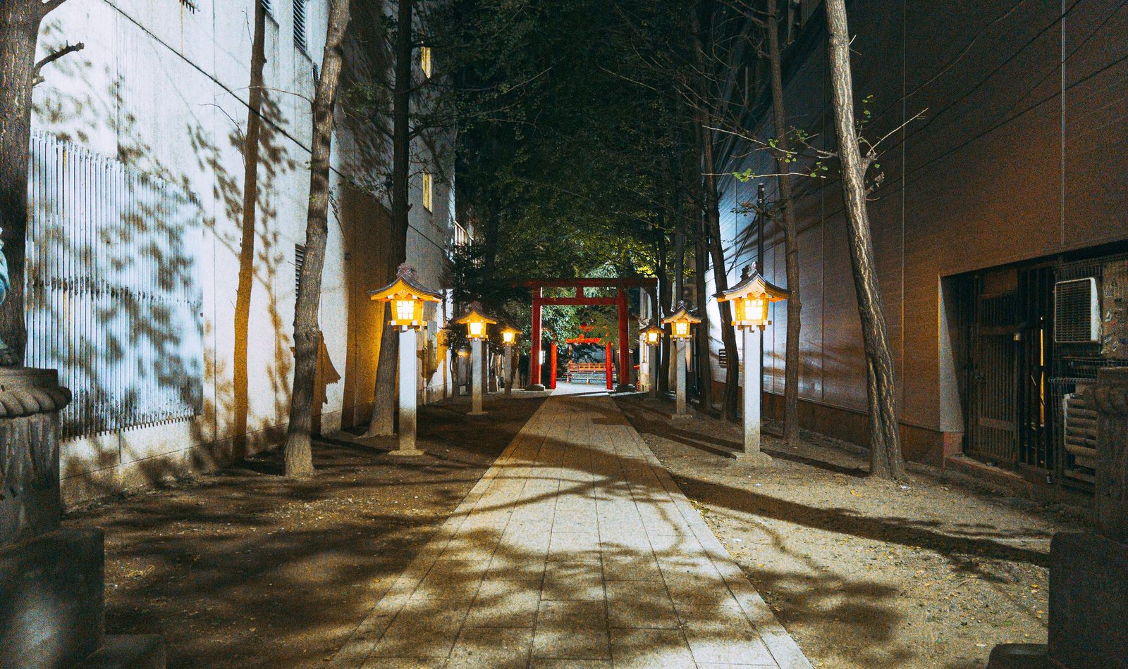 夜の新宿花園神社境内、提灯の灯りに照らされた石畳の参道と鳥居