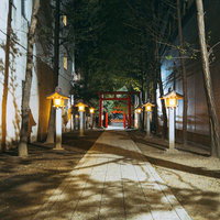 新宿花園神社の夜の参道と朱色の鳥居、提灯の灯りの写真