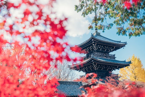 京都真如堂の紅葉と三重塔