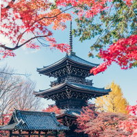 真如堂にある三重塔と紅葉の写真