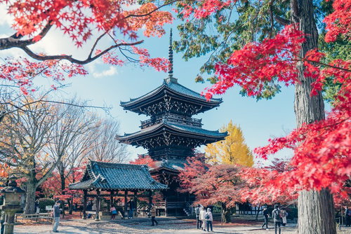 紅葉期の京都・真如堂の三重塔と秋の情景