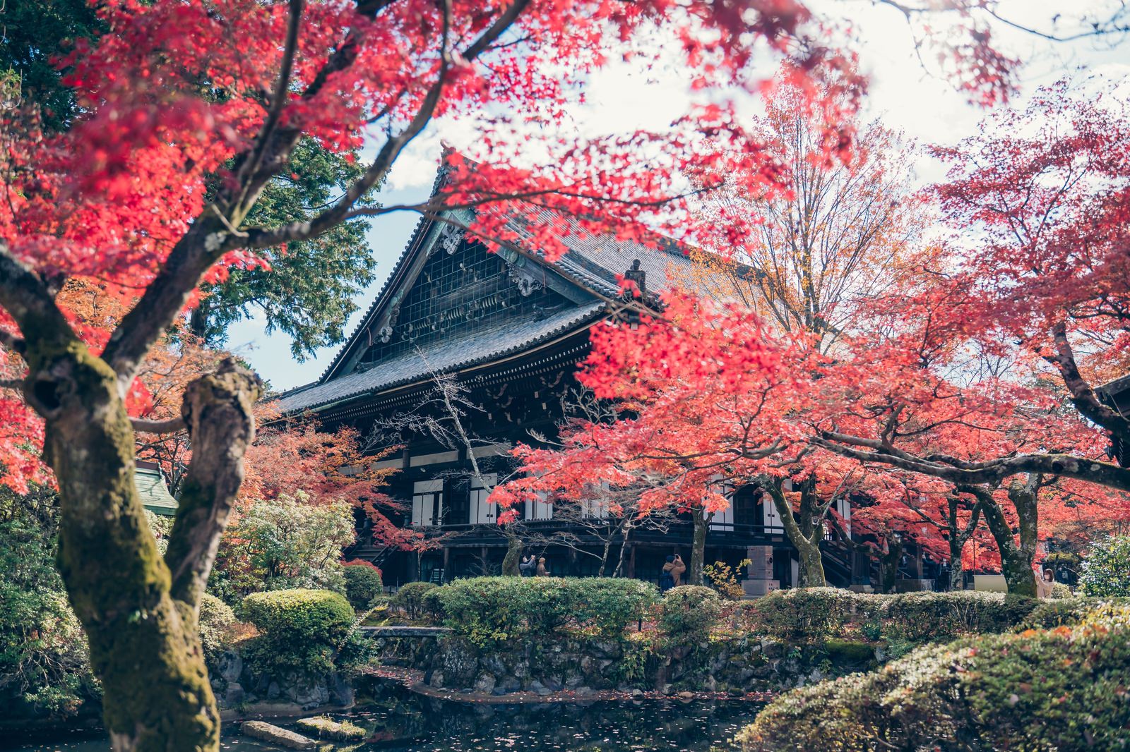 京都真如堂の本堂と鮮やかな赤い紅葉が写った秋の風景