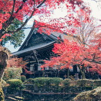 京都・真如堂の本堂と紅葉が彩る秋の景観の写真
