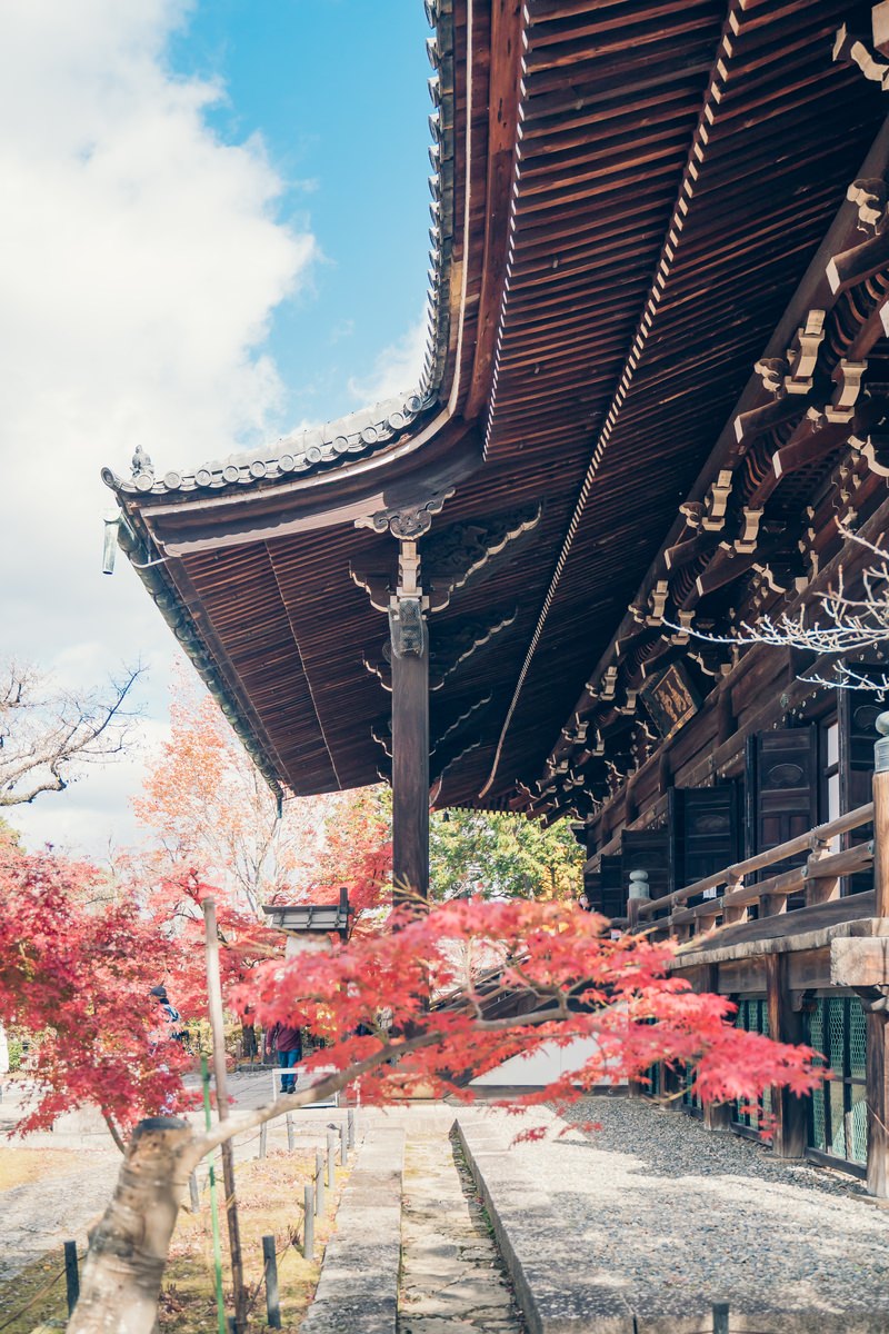 京都真如堂の瓦屋根の本堂前に鮮やかな赤い紅葉が配置された風景