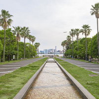 潮風公園の中央を流れるせせらぎとヤシの木の並木の写真