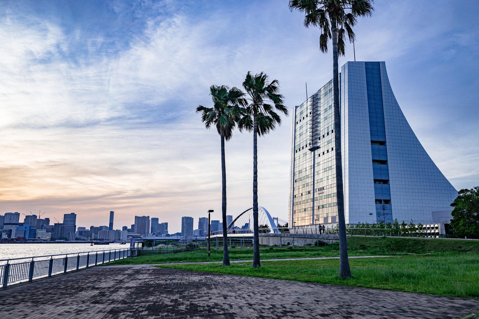 夕暮れの潮風公園でワシントンヤシの向こうに高層ビルと橋が見える都市風景