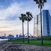 ワシントンヤシが映える夕暮れの潮風公園と東京港トンネルの写真