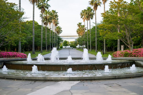 潮風公園の噴水から続くワシントンヤシの並木プロムナード