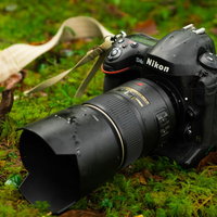 原生林の湿原で撮影中に水滴がついた一眼レフカメラ（D4S）の写真