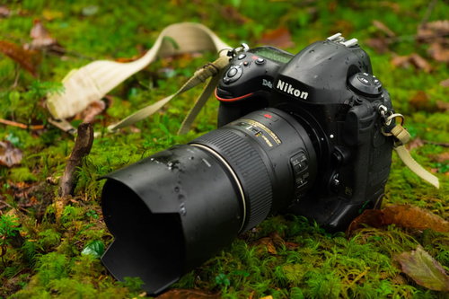 原生林の湿原で撮影中に水滴がついた一眼レフカメラ（D4S）