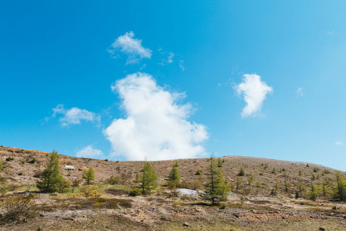 くさきがポツポツ生える白根山の岩場と青空