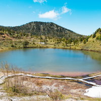 白根山の静寂な弓池を望む湖畔の風景の写真