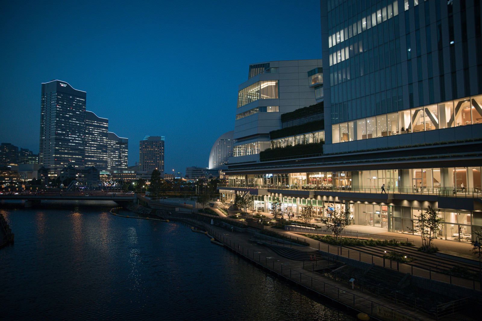 水辺に映る横浜市役所ラクシスフロントの夜景