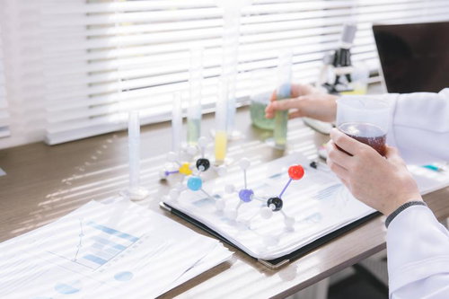 研究者のデスクに並ぶ分子模型と資料