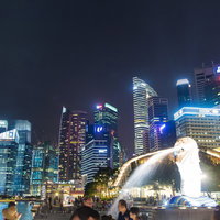 シンガポール・マーライオン・パークの夜景の写真