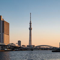 夕焼けに染まる隅田川とスカイツリーの都市景観の写真