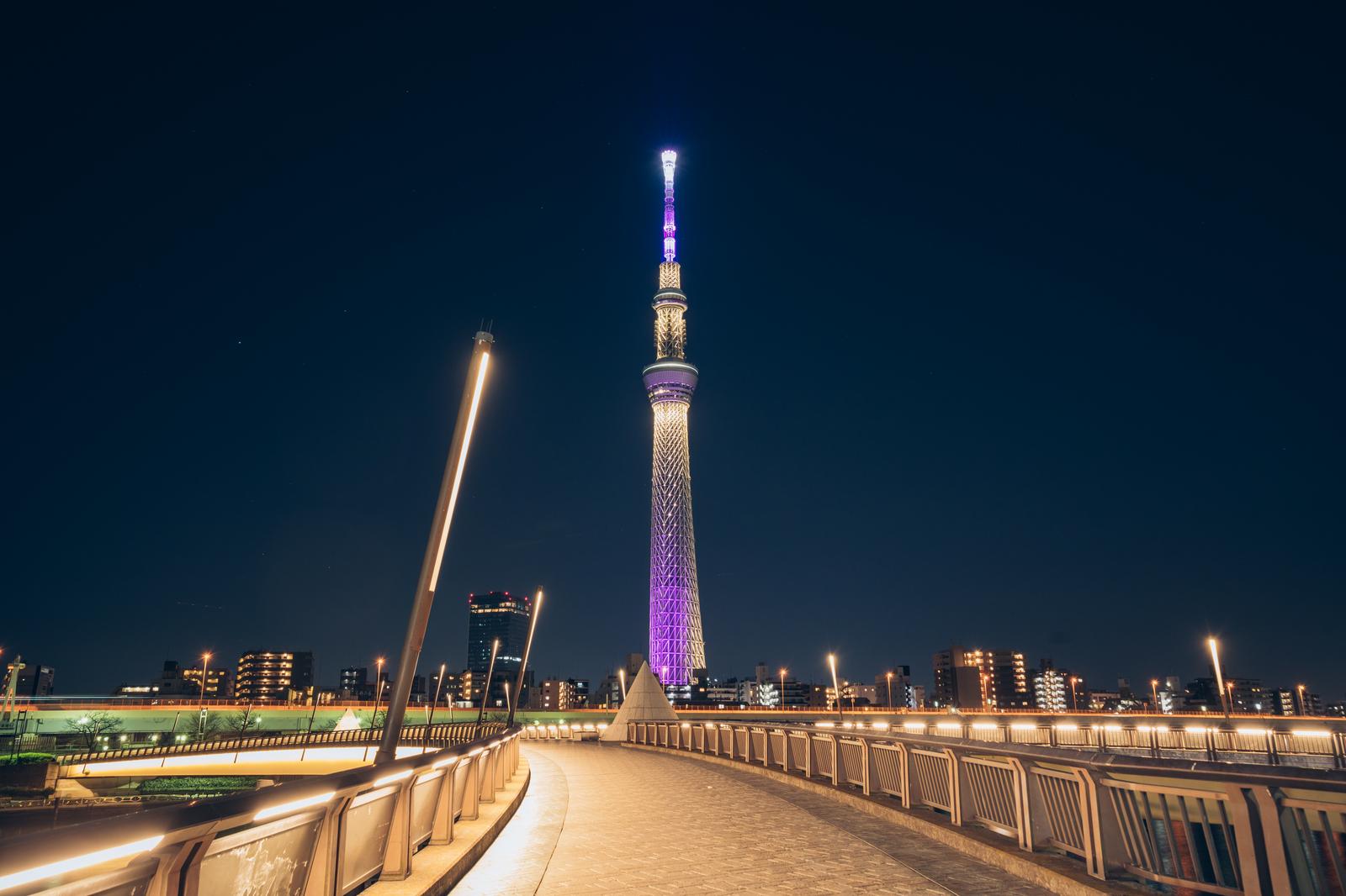 紫と白のライトアップが施されたスカイツリーが夜空に聳え立つ