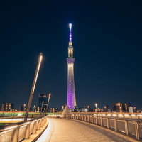 夜間にライトアップされたスカイツリーと歩道橋の写真