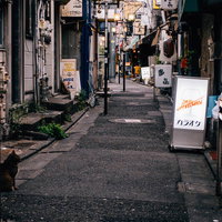 山王小路飲食店街の夕方過ぎの写真