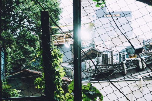 奥地へ進めない金網フェンス