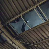 とある駅のホーム天井と採光窓、鉄骨構造の写真