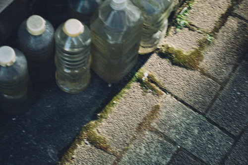 空のペットボトルを並べた猫よけ対策、庭のガーデニング防止策