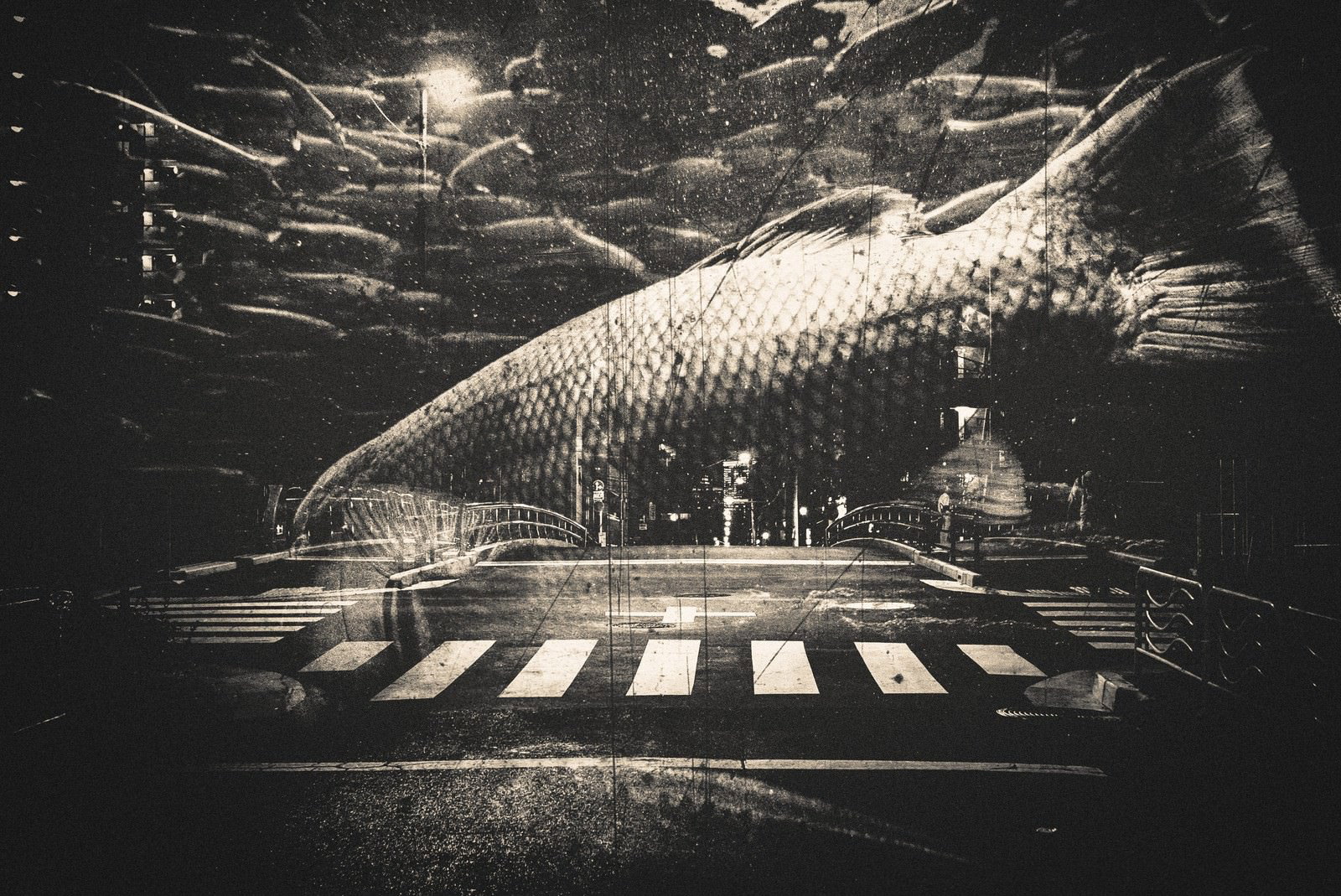 夜の都会の横断歩道の上空で泳ぐ大きな魚のフォトモンタージュ画像