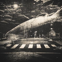 夜の都会を悠々と泳ぐ大きな魚（フォトモンタージュ）の写真
