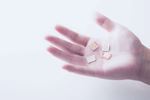 いくつものSIMカードをゲットした手
