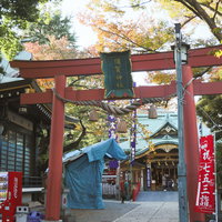 東京四谷須賀神社の朱色の鳥居と境内の参道風景の写真