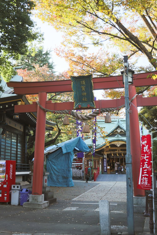 東京四谷須賀神社の朱色の鳥居と境内の参道風景