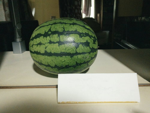 西瓜インフォメーション、受付窓口の名札とダミー