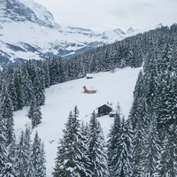 スイスのグリンデルワルト、樹木に囲まれる山小屋（雪山）の写真