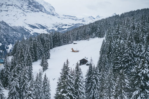 スイスのグリンデルワルト、樹木に囲まれる山小屋（雪山）