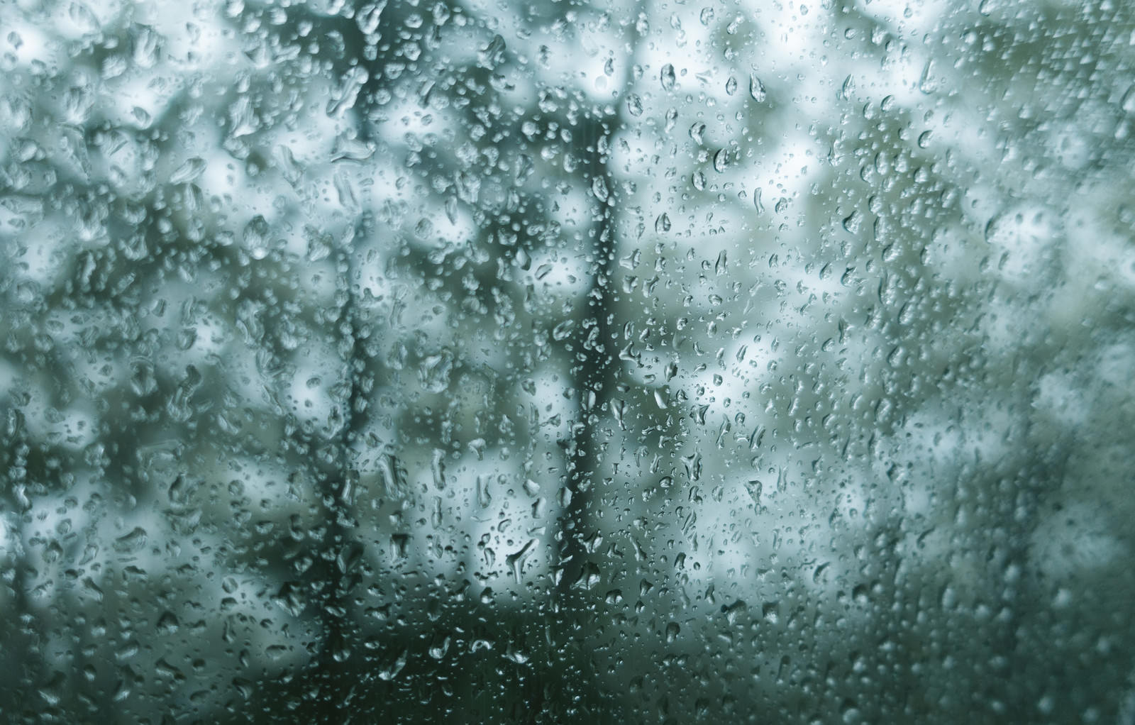 雨に濡れた窓ガラスに無数の水滴が付着している様子